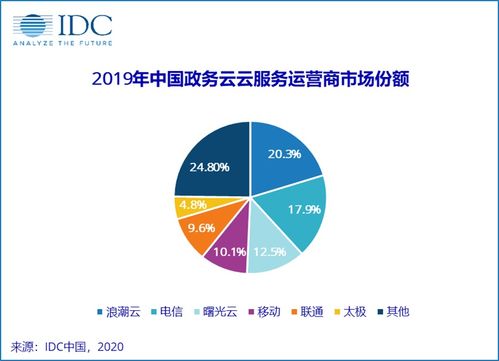 2019年中國政務(wù)云服務(wù)運(yùn)營商市場(chǎng)份額報(bào)告發(fā)布與市場(chǎng)營銷策劃服務(wù)分析