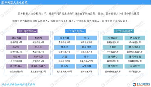 2019年中國服務機器人市場前景研究分析 政策、技術與老齡化共驅(qū)新藍海